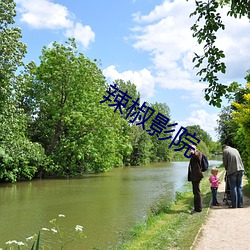 辣椒影院 （胡蜂）