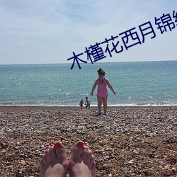 木槿花西月锦绣全文免(miǎn)费阅读