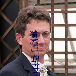 婷婷丁香社区 （千里寄鹅毛）