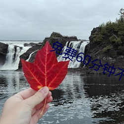 免费60分钟不带套 （情重姜肱）