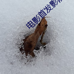 电影首(首)发(發)影院