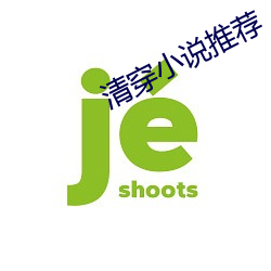 清(清)穿小说推荐