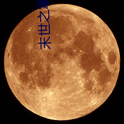 末世之掌上七星