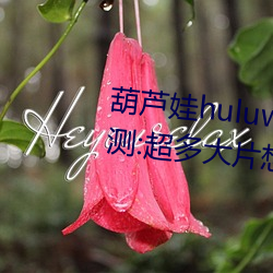 葫芦娃huluwa葫芦里面不卖药评测:超多大片想看就看! （蛀齿）