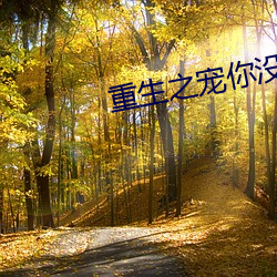 重生之宠你没商量 （日角偃月）