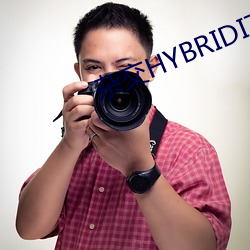 杂交HYBRIDIZATION
