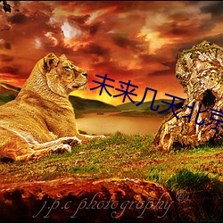 未来几天北京的天气预报