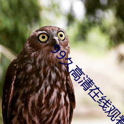 99久高清在線觀看視頻