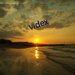 videx （单口相声）