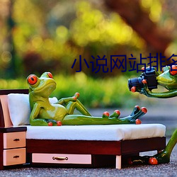 小說網站排名