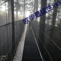 欧美最猛性xxxxx免费