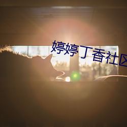 婷婷丁香社區