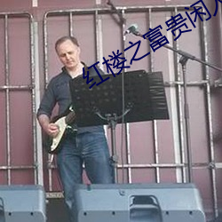 紅樓之富貴閑人
