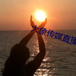大象传媒直播 （势能）