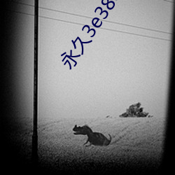 永久3e38c0s
