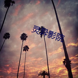灵异影院