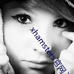 xhamsters官网入(rù)口