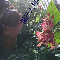凯时|AG(AsiaGaming)优质运营商
