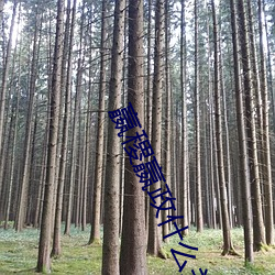 嬴稷嬴(嬴)政什么关(關)系