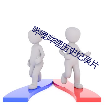 哔哩哔哩历史纪录片