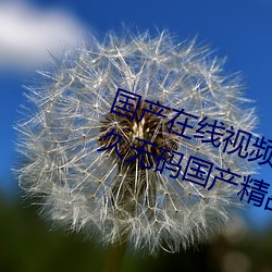 國産在線視頻免費在線觀看!99久久久無碼國産精品 久久