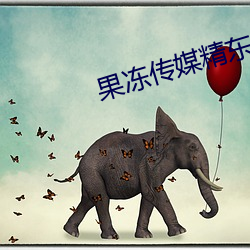 果冻传媒精东(東)影业