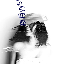 夜月yy55app