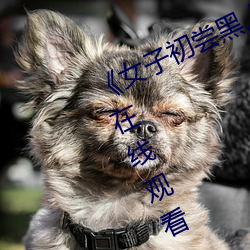 《女子(子)初尝黑人巨嗷(嗷)嗷叫(叫)》免(免)费高清在线观(觀)看(看)