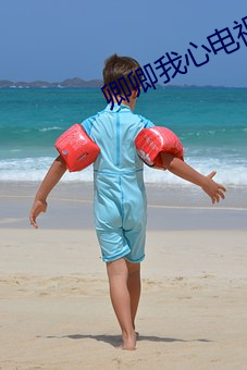 卿卿我心电视剧免费观看全