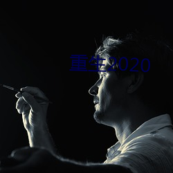 重生2020