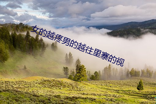 女的越疼男的越往里(lǐ)寨的视