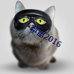 草留2016