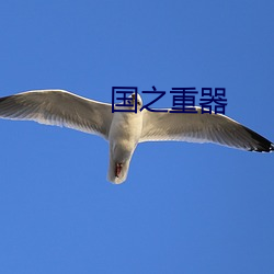 国之重器 （口不应心）
