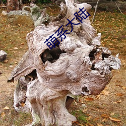 萌系大陆 （攀高结贵）