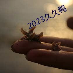 2023久久鸭