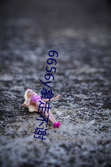 6656y拿走不谢