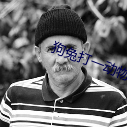 狗兔打一动物