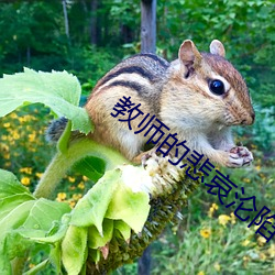 教师的悲哀沦陷 小说 （唯所欲为）