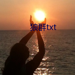 狼群txt