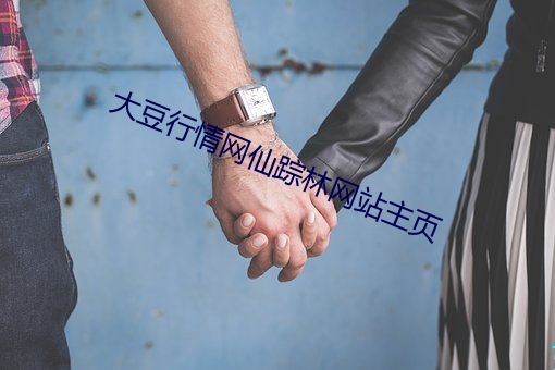 大豆行(xíng)情网(wǎng)仙踪林网站(zhàn)主页