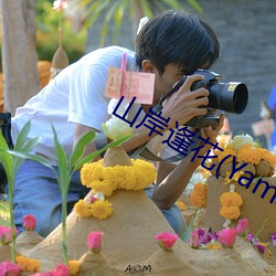 山岸逢花(Yamagishi （局外人）