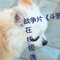 &#26085;&#x672C;&#24378;&#x4F26;&#23015;&#x4EBA;&#22971;BD&#x4E2D;&#25991;&#x5B57;&#24149;.docx