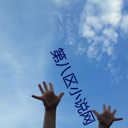 第八区小说网