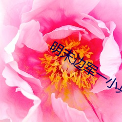 明末边军一小兵