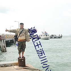 遇见王沥川小说
