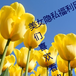 美(měi)女隐(yǐn)私(sī)福(fú)利网站黄污当(dāng)然如果用户们喜欢看(kàn)的话