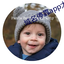 域名停靠app大全下載網站入口