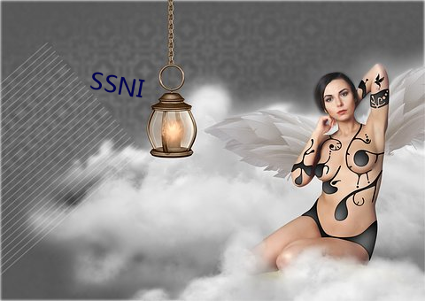 SSNI