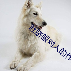 肚脐(qí)眼(yǎn)对人的作(zuò)用