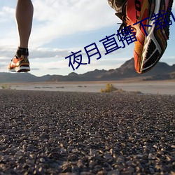 夜月直播下载ios
